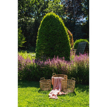 Afbeelding in Gallery-weergave laden, Luxe Handgeweven Katoenen Plaid - Zalmroze